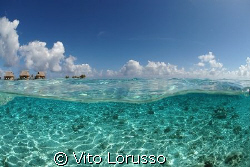 Moorea's Island by Vito Lorusso 